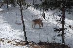 008_2009-0214-1326-26.jpg